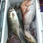 20100309121320.jpg