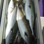 20100906105627.jpg