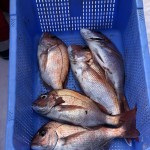 BEDB7350-3B3B-4D37-A0DD-22CE5E87E05F