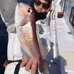 4B861A95-0D27-4DD4-A2E3-E529D3C69B12