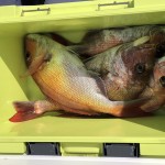 60E9AAE0-20F9-4DC4-91B7-18DFA3CAB58A