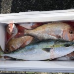 AA0CD9B1-925F-46A5-AC93-B8D14CB06A8A