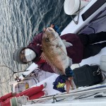 0B3ABCFB-36F8-4505-8B16-489F8F03D9EB