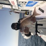 19C72DA3-BAD8-48C9-A027-EE64C76E91CB