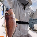 DC1E01B1-9AB5-4D89-90FA-338760711CE9