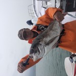 2082959C-E7C9-493D-B23C-8588AB9402E3