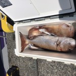 598B99A6-7415-4417-B632-AEF63F0CDB59