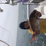 7A093A97-E350-46F5-95BB-7076E8B977BC