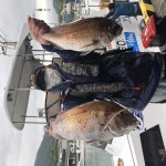 83CDAEED-195E-4E0D-9F9E-63F46F73E6F3 83CDAEED-195E-4E0D-9F9E-63F46F73E6F3