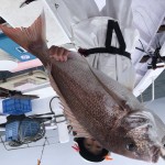 CDC69EC2-D173-4C64-9AC5-E8E7CDE2DC2B