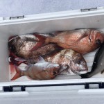 E1B83A03-F708-4E4A-9067-87FE37CFC35E