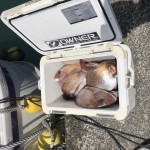 E44D6375-06E1-41C8-A6B5-2F46E8586ED2