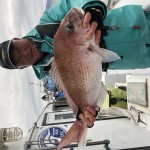 F81384D2-4E39-4C31-803D-05DB3C9AE567