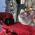 FC08D99B-D5C9-4DB3-8877-18B38D5DFCD1