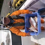 16F0732D-92DD-4355-BE75-C2AE8FD525C2 16F0732D-92DD-4355-BE75-C2AE8FD525C2