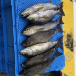 55148A72-B72D-497B-B24F-3C7E6771D55A