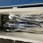 A335F91E-2F42-40A5-B9FF-103522B07BA3