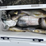 B2DF1C41-6DF3-4578-BC26-D218FBD0780C