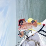 3CACFBFB-FBCA-41E7-A3AD-0DAC7A9ED364