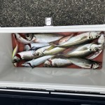 497EEFA6-4C90-47E2-97E8-CFDDDD1EBC6F