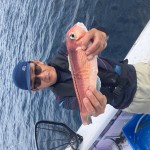 4B27082B-9690-42CE-B358-636B96FA266C