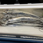 896D9B88-0442-4608-84CA-DFF9C6292437