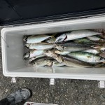 9EB48E37-63A5-4DC7-A0ED-FBB09EEA8702 9EB48E37-63A5-4DC7-A0ED-FBB09EEA8702