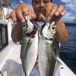 DAB4580C-FEDF-4E5E-93C7-8AAE32559CDB