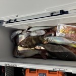 1EE95F26-C83F-47F7-999F-84510C4F9780