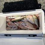 2F2B1777-E2DC-47AB-9382-51E317E06F04