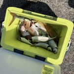 EE972B9B-6A9C-4C3B-8F86-758FB3C0F918