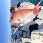 C0803466-8C51-4DAF-8302-B31FED983FDA C0803466-8C51-4DAF-8302-B31FED983FDA