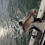 魔の日曜日でした