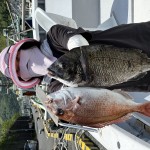IMG_1390 IMG_1390