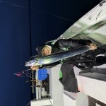 IMG_1606 IMG_1606